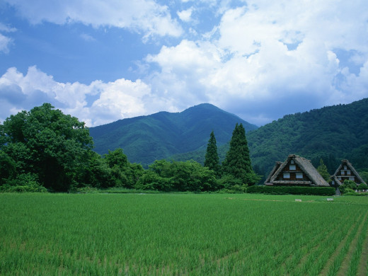 44691 (a): :1600x1200